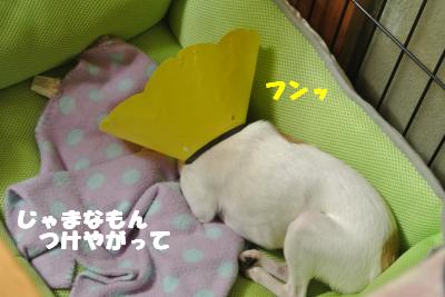 蟆城未+022_convert_20121010094721