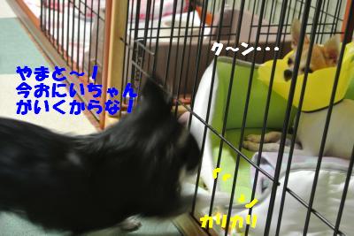 蟆城未+030_convert_20121010094844
