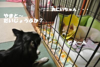 蟆城未+007_convert_20121010094755