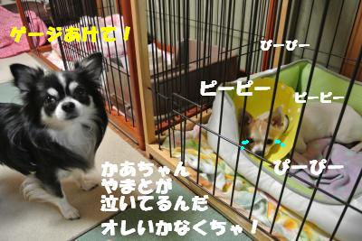 蟆城未+023_convert_20121010094944