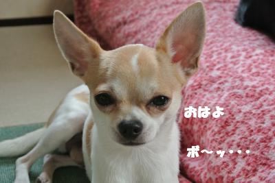蟆城未+029_convert_20121010095303