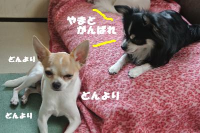 蟆城未+032_convert_20121010095409