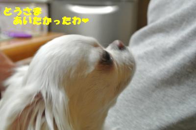 蟆城未+018_convert_20121010111121