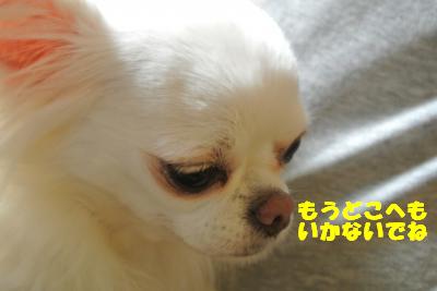 蟆城未+017_convert_20121010111152