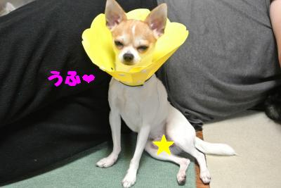 蟆城未+034_convert_20121011093340