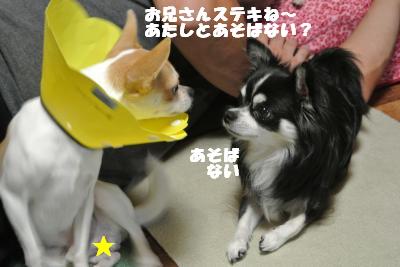 蟆城未+032_convert_20121011093418