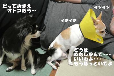 蟆城未+025_convert_20121011093448