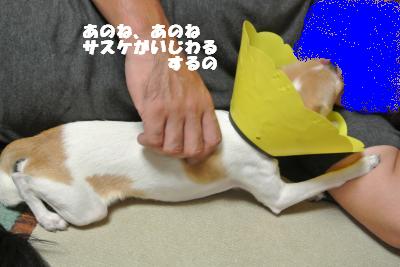 蟆城未+023_convert_20121011093618