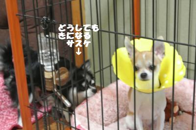 蟆城未+026_convert_20121011093732