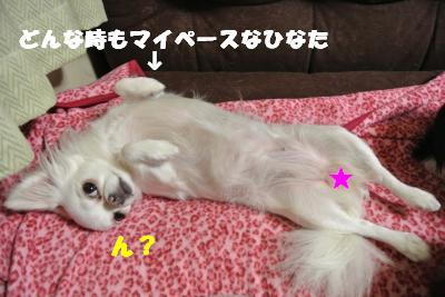 蟆城未+035_convert_20121011093824