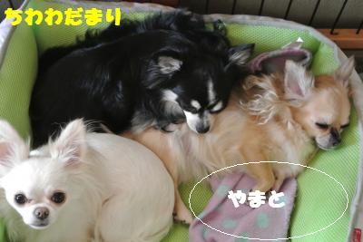 蟆城未+038_convert_20121011112041