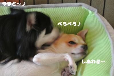 20121012+003_convert_20121012092715.jpg