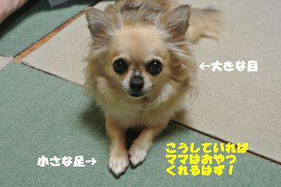 20121012+007_convert_20121012092857.jpg