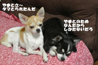 20121012+015_convert_20121012092311.jpg