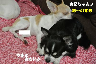 20121012+017_convert_20121012092534.jpg
