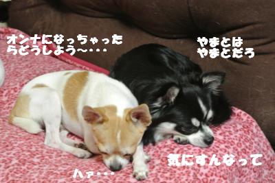 20121012+020_convert_20121012092417.jpg