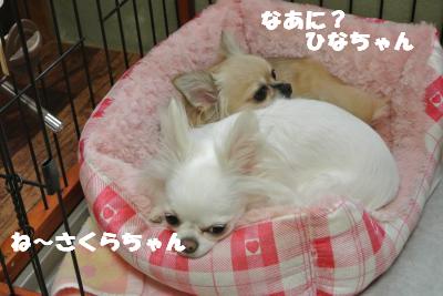 20121012+024_convert_20121012091934.jpg