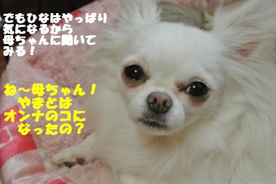 20121012+026_convert_20121012092101.jpg