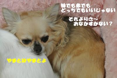 20121012+027_convert_20121012092033.jpg