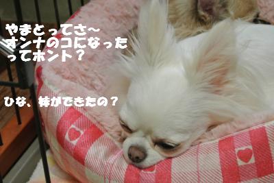 20121012+028_convert_20121012092007.jpg
