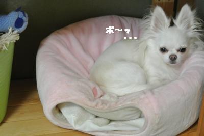 20121012+030_convert_20121012092820.jpg