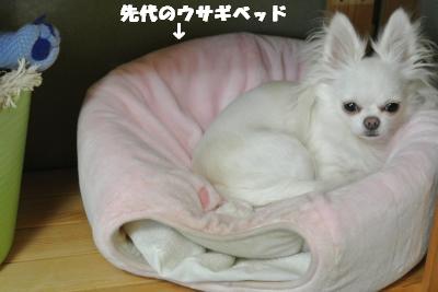 20121012+030_convert_20130502112822.jpg