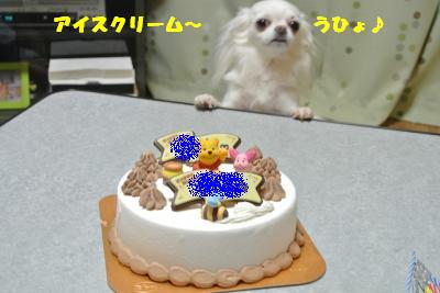 20121012+031_convert_20121015103529.jpg