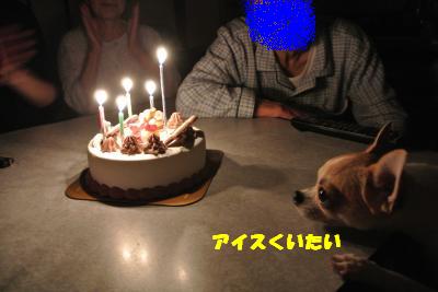 20121012+032_convert_20121015103554.jpg