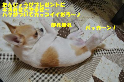 20121012+040_convert_20121015104143.jpg