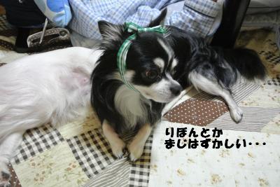 20121012+042_convert_20121015103710.jpg
