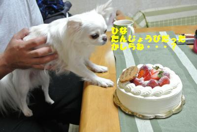 20121012+044_convert_20121015103827.jpg