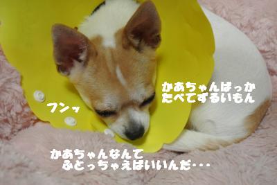 20121012+045_convert_20121015104040.jpg
