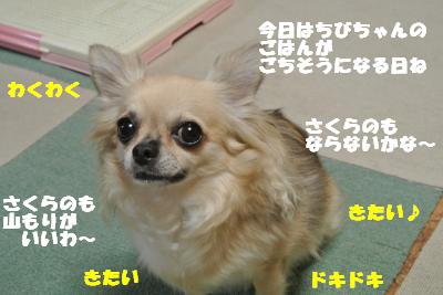 20121012+048_convert_20121015151531.jpg