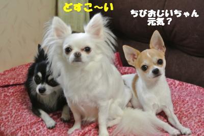 蟆城未+037_convert_20121015151439