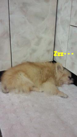 縺。繧上o+904_convert_20121015151719