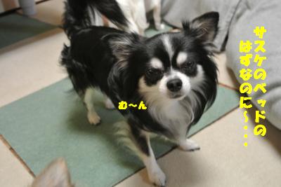 20121017+001_convert_20121017102224.jpg