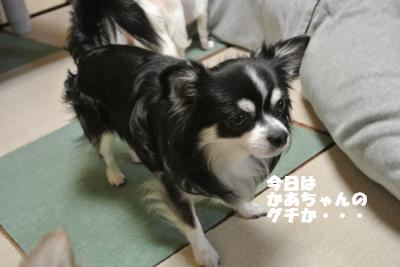 20121017+002_convert_20121102132151.jpg