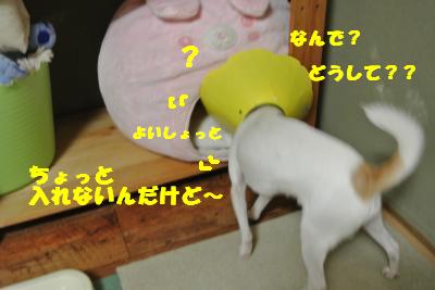 20121017+003_convert_20121017102258.jpg