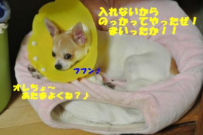 20121017+005_convert_20121017102403.jpg