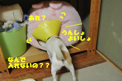 20121017+008_convert_20121017102326.jpg