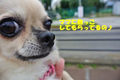 20121017+009_convert_20121017102613.jpg