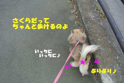 20121017+010_convert_20121017102638.jpg
