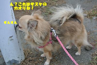 20121017+012_convert_20121017102704.jpg