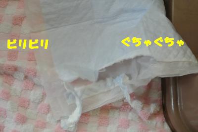 20121017+012_convert_20121018105353.jpg