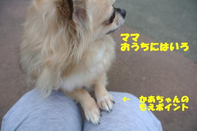 20121017+013_convert_20121017102733.jpg