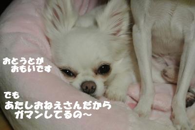 20121017+013_convert_20121018110051.jpg