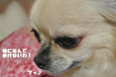 20121017+014_convert_20121030140312.jpg