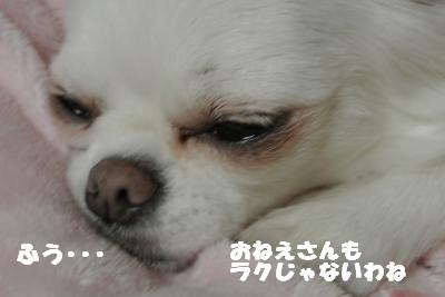 20121017+015_convert_20121018110150.jpg