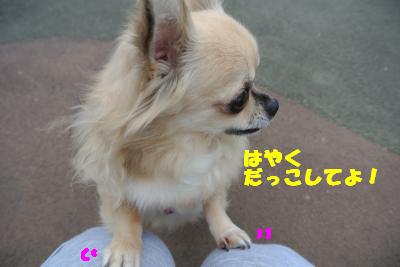 20121017+016_convert_20121017102809.jpg