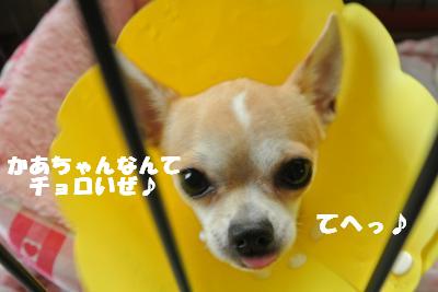 20121017+021_convert_20121018105539.jpg